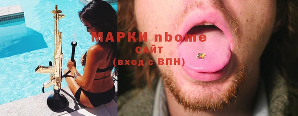 сатива Аркадак