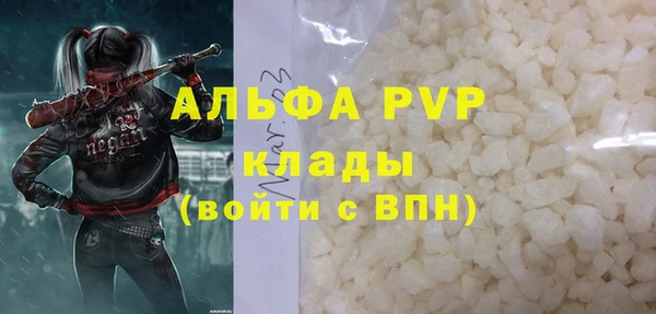 сатива Аркадак