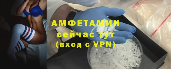 сатива Аркадак