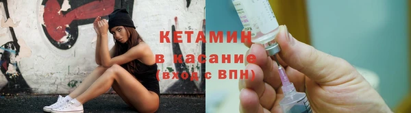 сатива Аркадак