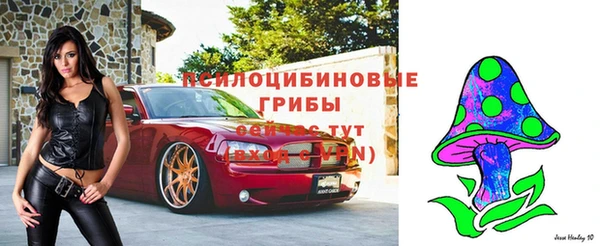 сатива Аркадак