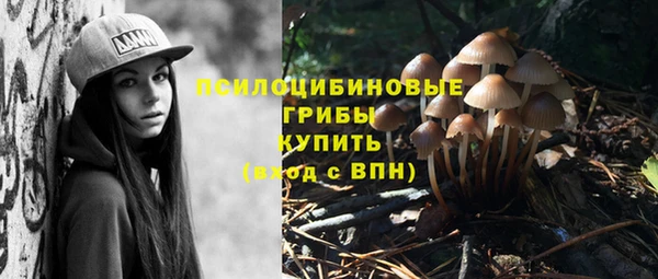 крисы Арсеньев