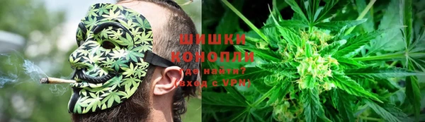 крисы Арсеньев