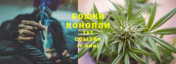 сатива Аркадак