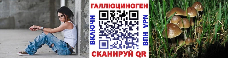 Галлюциногенные грибы мицелий Горячий Ключ