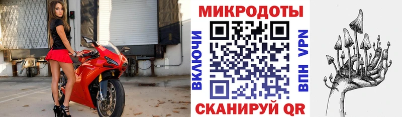 Купить  Горячий Ключ  Галлюциногенные грибы мицелий 